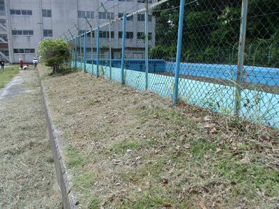 周辺の草がなくなりました