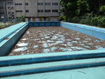 後は、掃除を待つばかりです