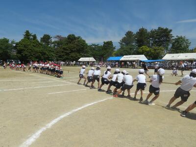 ５年生　綱引き