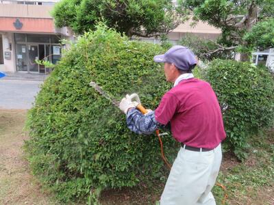 慣れた手つきで