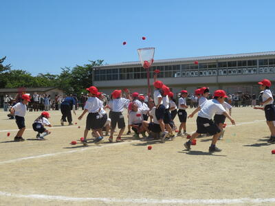 １年生　玉入れ